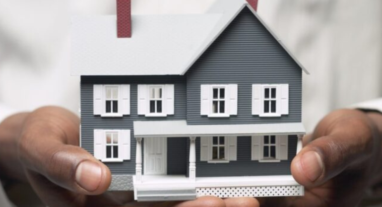 Domestic Package