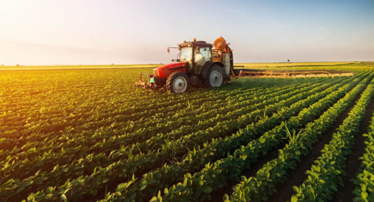 Agriculture Insurance