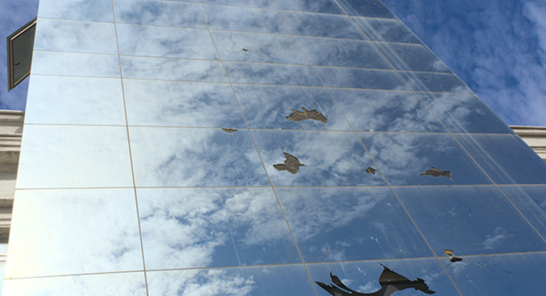 Plate Glass